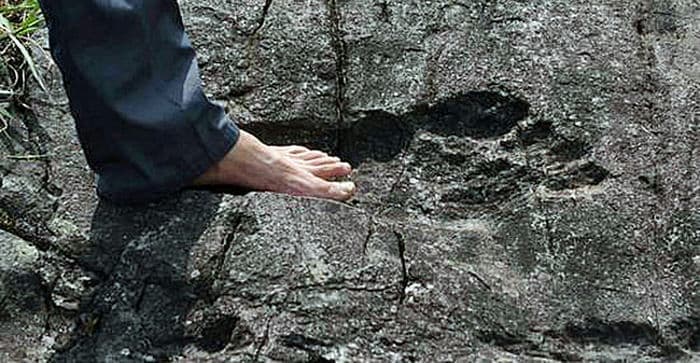 Cover Image for The Giant Footprint of Pingyan: Giant Made or Man Made?